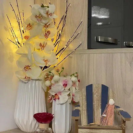Apartament Monik Mamaia Nord *